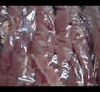 Mutton Fillet (boneless x 2 kilos)